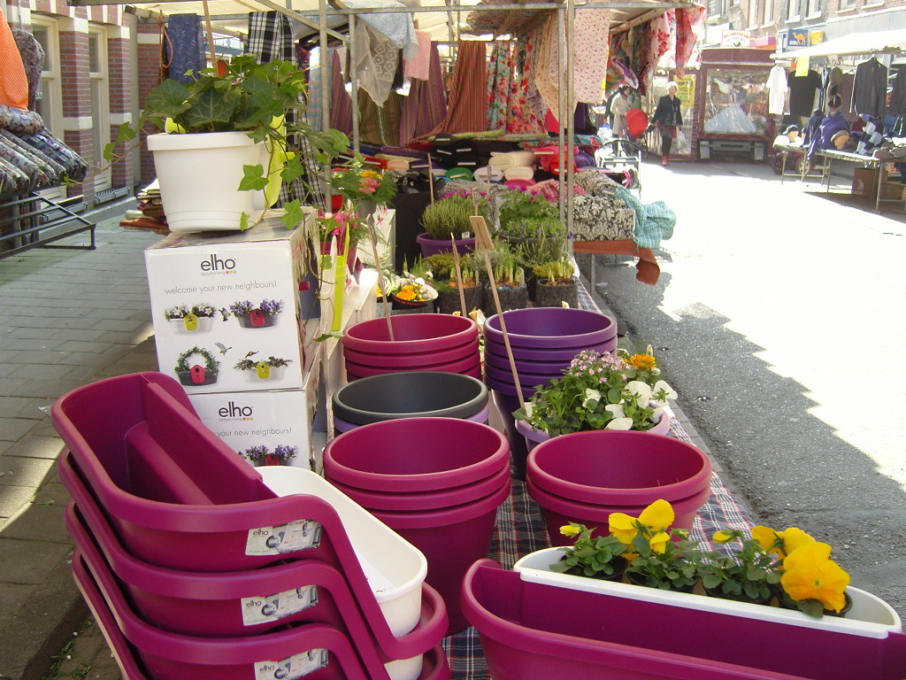 Les fleurs de mylene op de markt